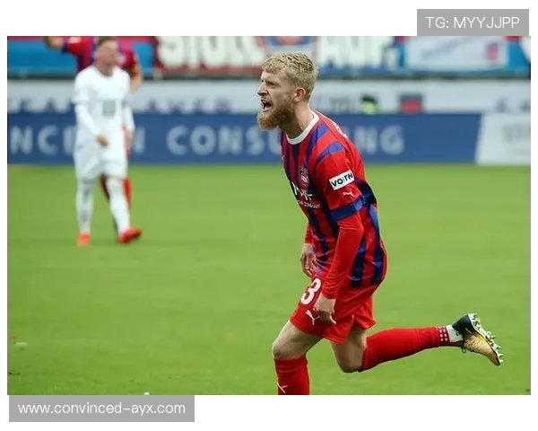 海登海姆俱乐部崛起之路与德甲新势力全景解析十年奋斗与青训战略观察