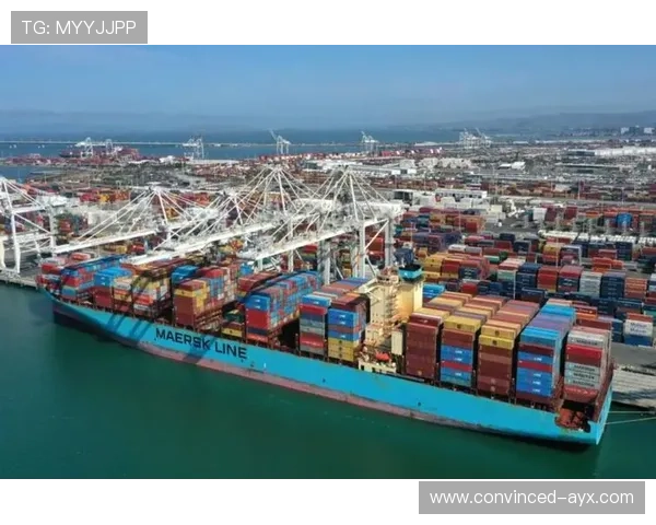 罗马俱乐部与全球可持续发展:面向未来的经济与环境挑战解析