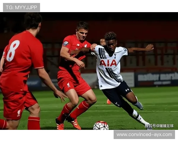 巴恩斯利俱乐部最新动态及赛季表现全解析